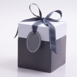 5 x 5 x 6 SLATE GRAY POP UP BOX