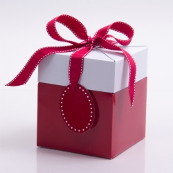 5 x 5 x 6 RED POP UP BOX