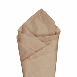 20 x 30 TAUPE TISSUE PAPER