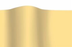 20 X 30 TISSUE - HONEY