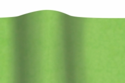 20 x 30 CITRUS GREEN TISSUE PAPER