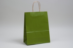 10 x 5 x 13 MATTE GREEN TEA COLOR TINTED KRAFT PAPER SHOPPING BAGS
