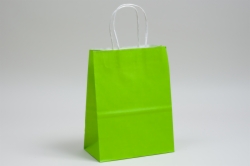 10 x 5 x 13 CITRUS GREEN COLOR TINTED PAPER SHOPPING BAGS