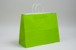 16 x 6 x 12 CITRUS GREEN COLOR TINTED PAPER SHOPPING BAGS