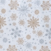 Alpine Snowflake