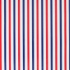 Red & Blue Stripe