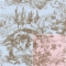 Baby Toile Reverse