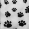 Paw Prints