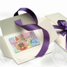 4.4 x 3 IVORY RIBBON TIED GIFT CARD FOLDERS
