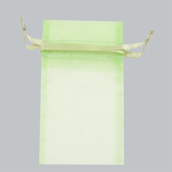 5.5 x 9 MINT SHEER ORGANZA POUCHES